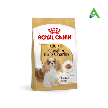 CAVALIER KING KG.1,5 ROYAL CANIN