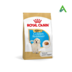 GOLDEN RETRIVER PUPPY KG.3 ROYAL CANIN