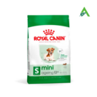 MINI AGEING 12+ GR.800 ROYAL CANIN
