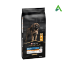 PRO PLAN ADULT LARGE ROBUST EVERYDAY N. KG.14 POLLO PURINA