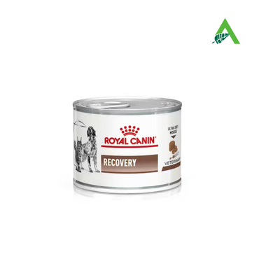 RECOVERY CAN DOG/CAT GR.195 ROYAL CANIN