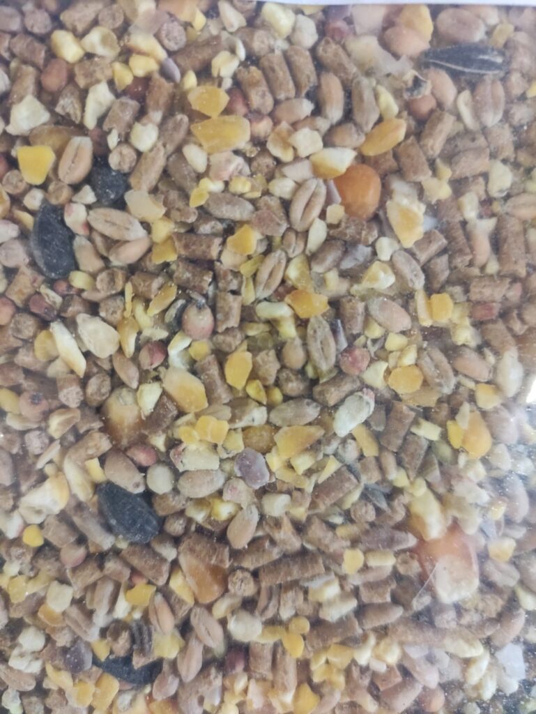 MIX DI CEREALI PER POLLI CONTENENTE : CEREALI, GIRASOLI, PELLET DI SOIA, SALI MINERALI E VITAMINE