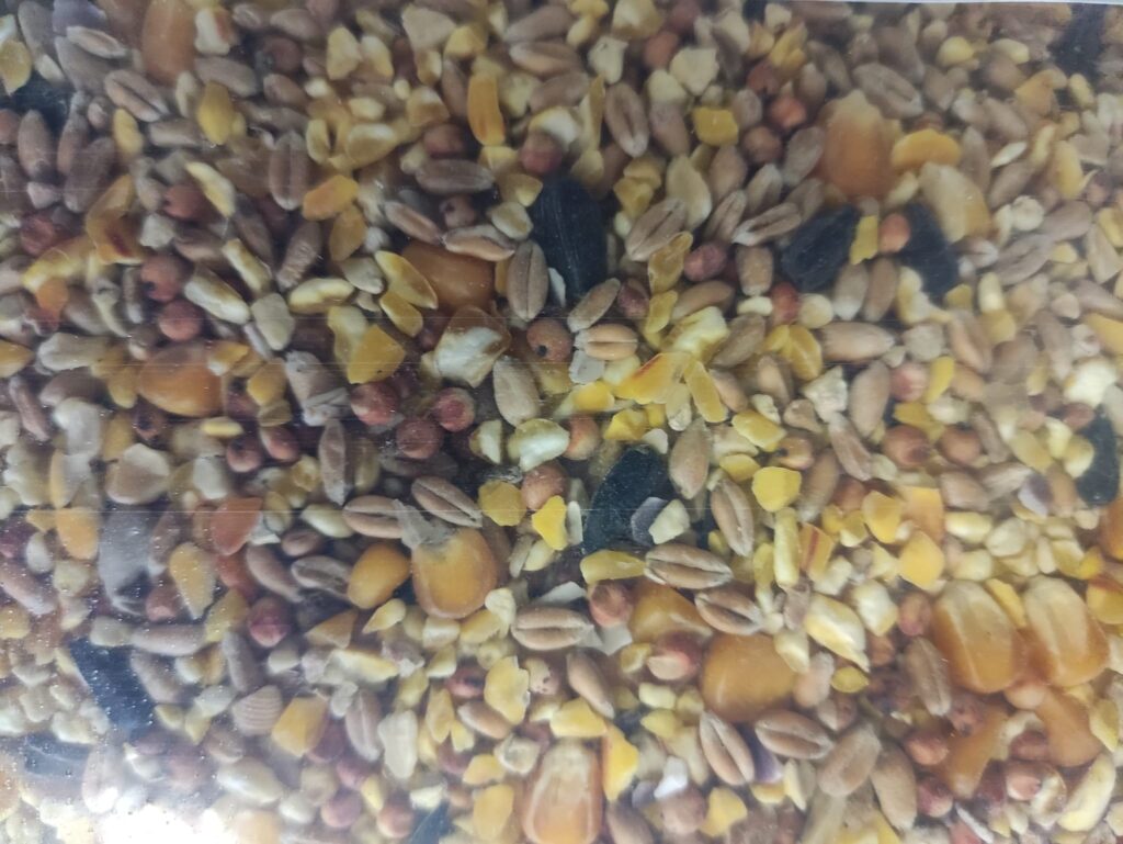 MIX DI CEREALI PER POLLI CONTENENTE : CEREALI, GIRASOLI E SALI MINERALI