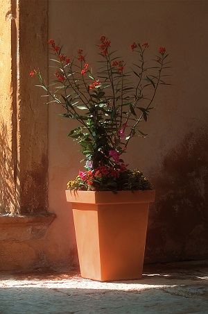 VASO TUM QUADRO CM.47