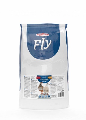 TORTORE KG.5 RAGGIO DI SOLE