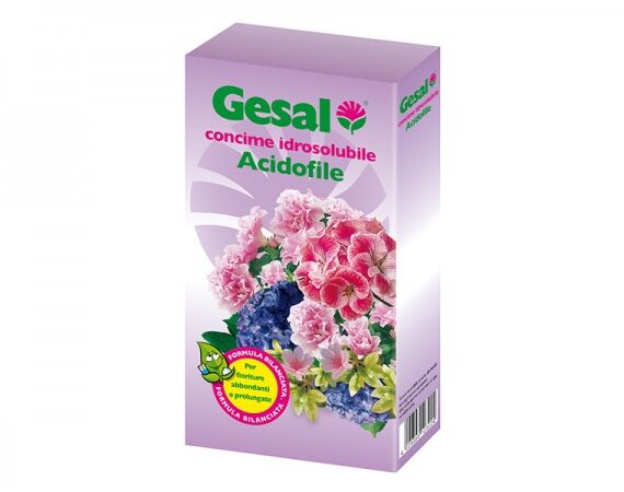 GESAL CONC.IDROSOLUBILE ACIDOFILE GR.350