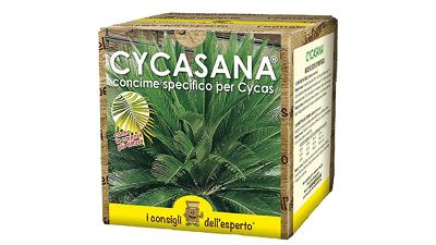 CYCASANA CONCIME NPK 16-5-10+MN+CORRETTIVO GR 800