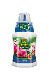 ORCHIDEE ML.250 COMPO