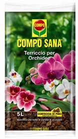 SANA ORCHIDEE LT.5 COMPO