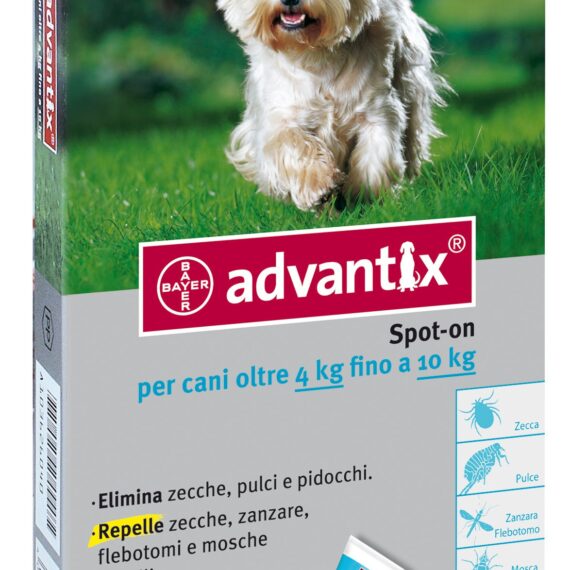 CANE 4-10 KG. SPOT-ON 4 PIPETTE DA 1ML ADVANTIX