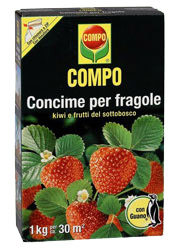 FRAGOLE KG.1 COMPO