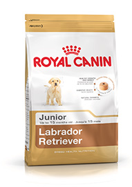 LABRADOR RETRIVER JUNIOR KG.12 ROYAL CANIN