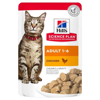 SP FELINE ADULT POLLO GR 85