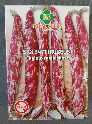 FAGIOLO RAMPICANTE RUBEUS  g 500