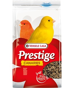 CANARINI BELGIO KG.1 PRESTIGE VERSELE