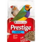 ESOTICI BELGIO KG.1 PRESTIGE VERSELE