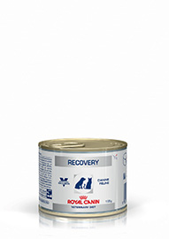 RECOVERY CAN DOG/CAT GR.195 ROYAL CANIN