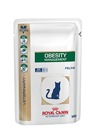 OBESITY CAT BUSTA GR.100 ROYAL CANIN