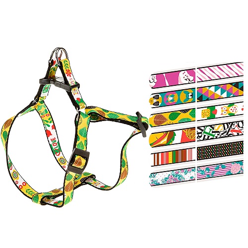 PETTORINA FANTASIA P S FANTASIE ASSORTITE  FERPLAST