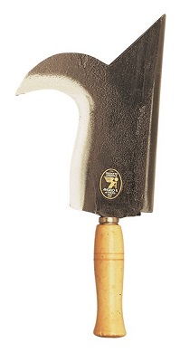 PENNATO RIMINI 22 ANGELO B