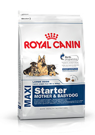 MAXI STARTER M&B KG.4 ROYAL CANIN