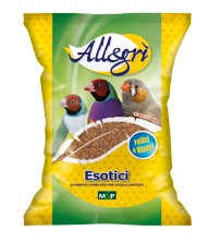 ALLEGRI' ESOTICI KG.4 PETRINI