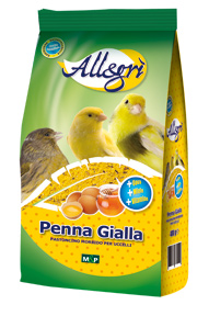 ALLEGRI' PENNA GIALLA GR.400 PETRINI