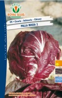 CICORIA ROSSA A PALLA 2 G 50