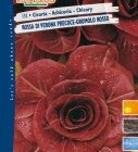 BUSTA CICORIA ROSSA DI VERONA TARDIVA GR 50 RS