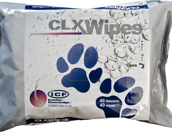 SALVIETTE CLX WIPES PZ.40