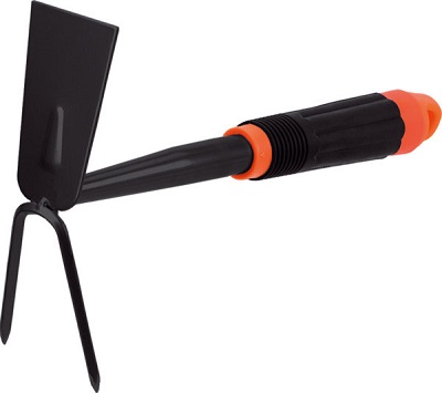 ZAPPETTA QUADRATA BIDENTE STOCKER