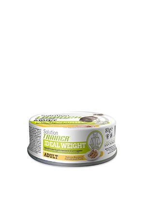 LATTINA G 80 IDEAL WEIGHT TRAINER SOLUTION