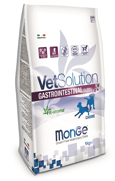 VETSOLUTION CANINE INTESTINAL KG 1 MONGE