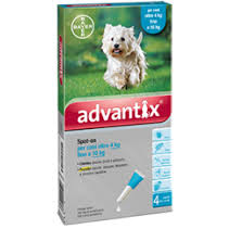 CANE 4-10 KG. SPOT-ON 1 PIPETTA DA 1ML ADVANTIX
