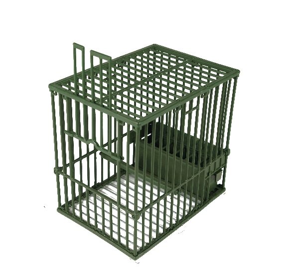 GABBIA FRINGUELLO ROCILA