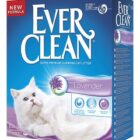 CAT LAVANDER L 6 EVERCLEAN