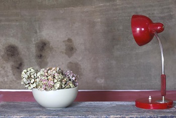 CIOTOLA LUNARE CM.26 H 11,5 ROSMARINO MATT