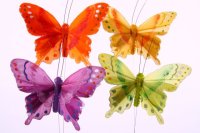 FARFALLA LORA  B.9 H7 ST CM.20