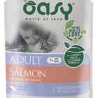 WET CAT BOCCONCINI BUSTA 85 G ADULT SALMONE OASY