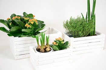 CASSETTINA DI LEGNO 31X10,5X9 CM