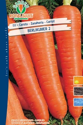 BUSTA ORTO CAROTA BERLIKUMER 2 GR.50