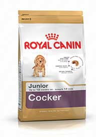 COCKER JUNIOR KG.3 ROYAL CANIN