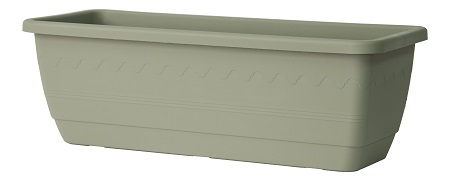 CASSETTA INIS CM.50 ROSMARINO