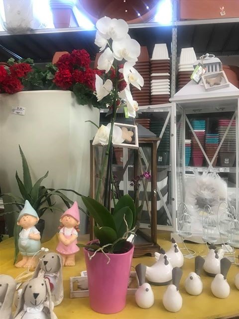 VASO ORCHIDEA SOFIA CM.14 H 14 FUCSIA