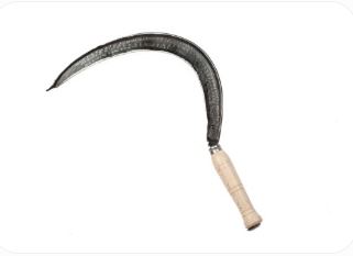 FALCIOLA STRETTA 659 4/0 C/GINOCCHIO FALCI