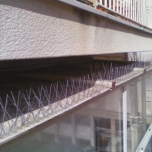 DISSUASORE INOX per PICCIONI cm 100