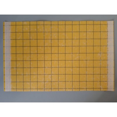 CHROMO TRAP YELLOW CONF.10 TRAPPOLE COPYR