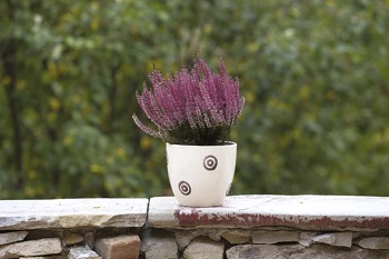 CASPO SMALTATO NUVOLA CM.18 CORINO