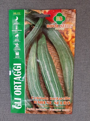 BUSTA ORTO TORTARELLO BARESE SCURO RS