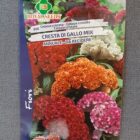 BUSTA FIORI CELOSIA CRISTATA CRESTA DI GALLO MIX RS